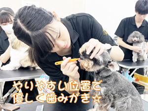 毎日の歯みがきで健康を守ります☆